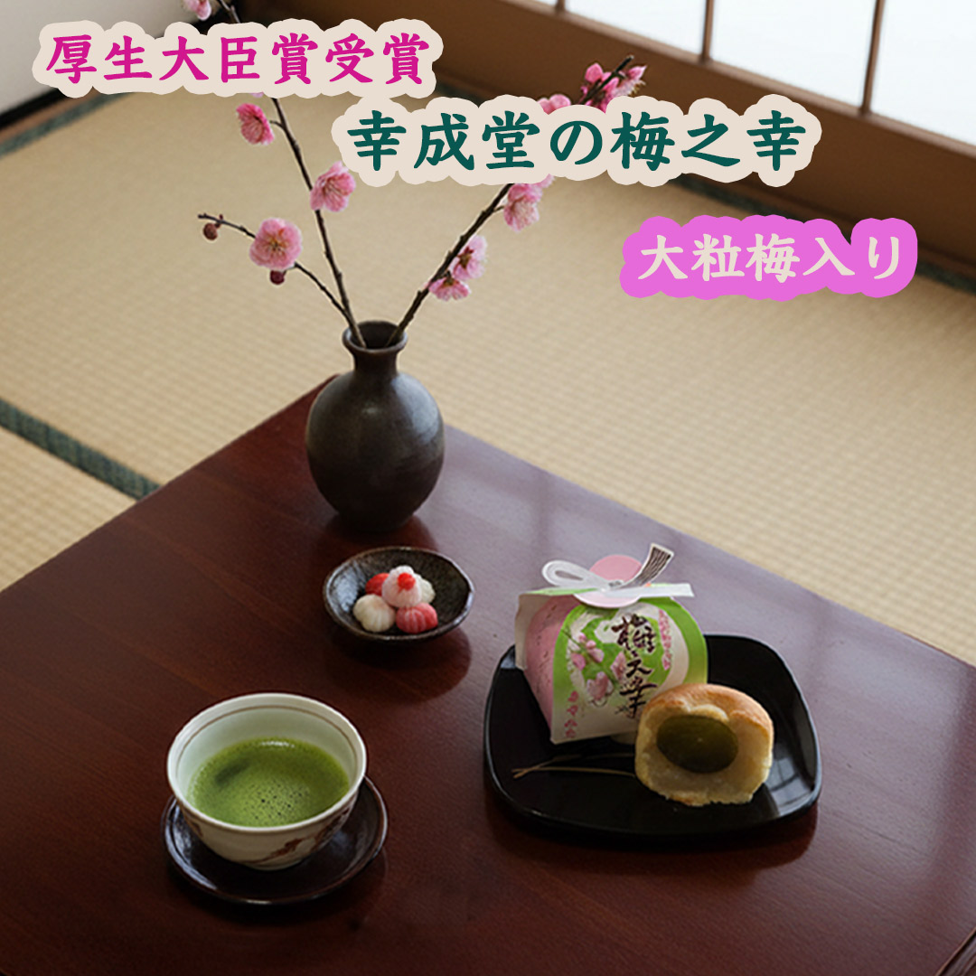 幸成堂の梅の幸