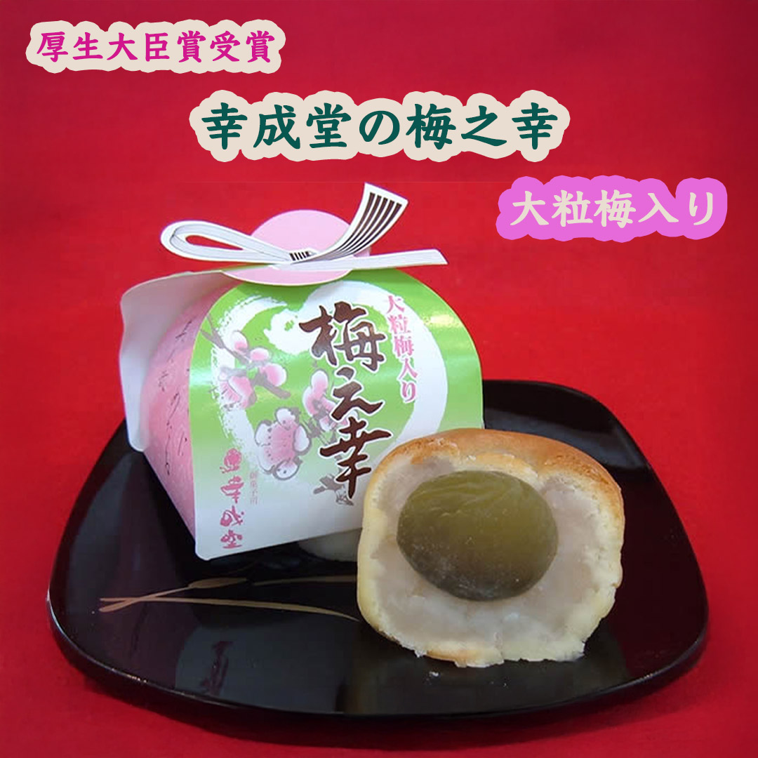 幸成堂の梅の幸