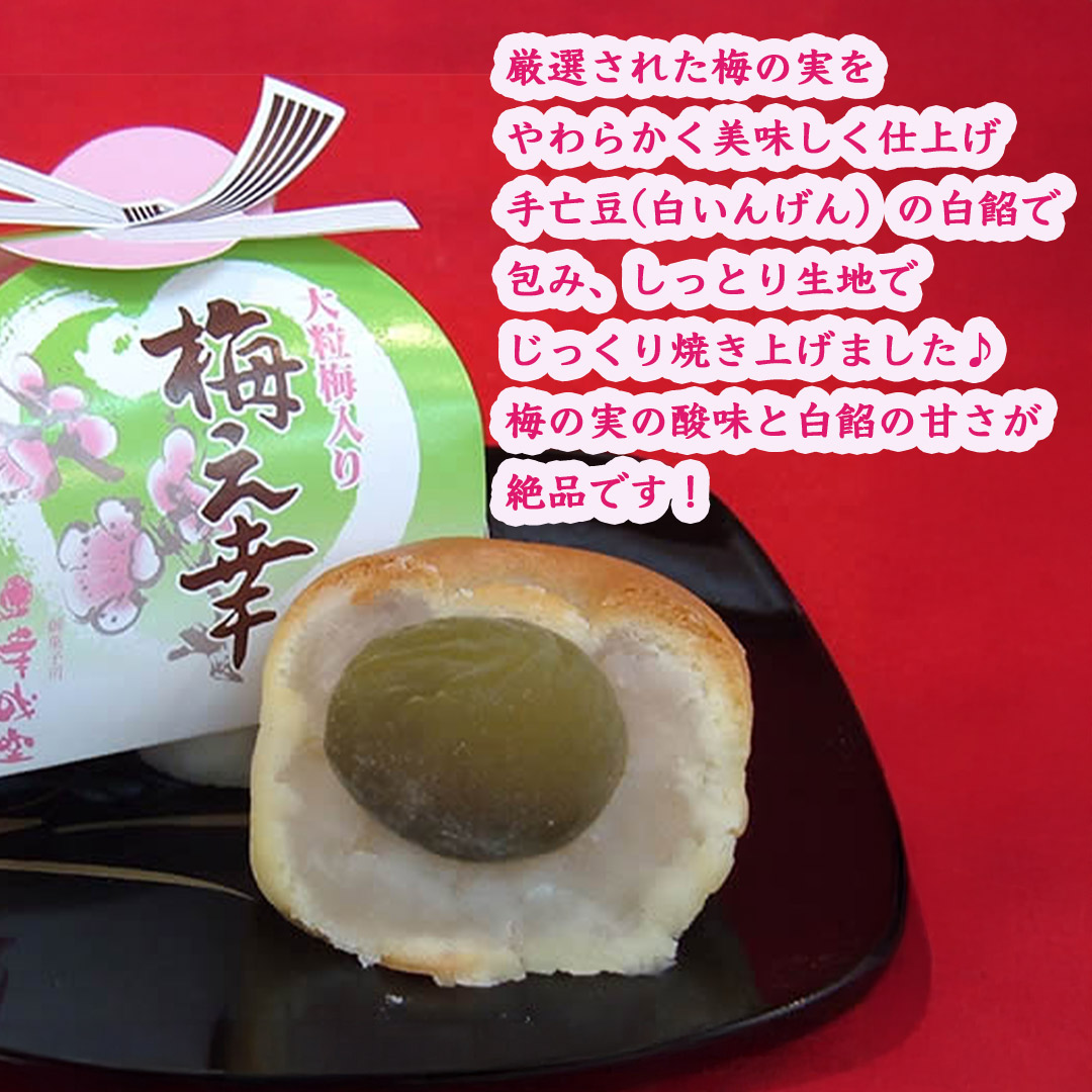 幸成堂の梅の幸