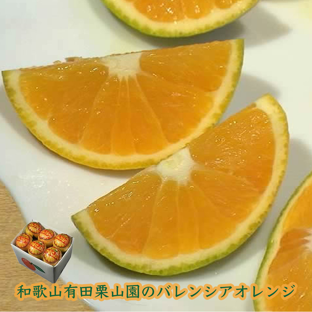 栗山園のバレンシアオレンジ