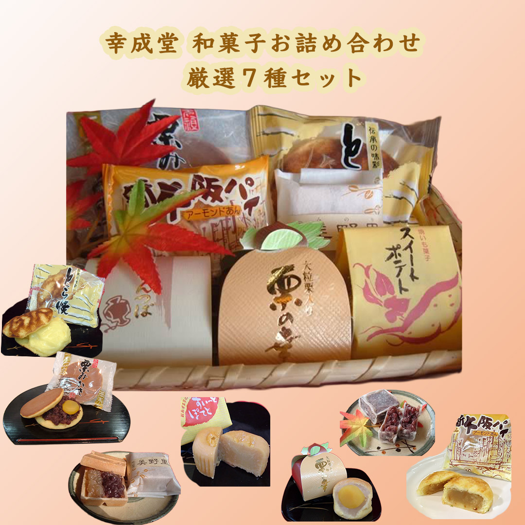 幸成堂 和菓子詰め合わせ  厳選７種セット (送料無料/北海道、沖縄1000円) 幸成堂自慢の人気商品  とら焼き 栗みかさ 新大阪パイ 二色最中美野里 きんつば スイートポテト 栗の幸 お試し ご贈答 お土産