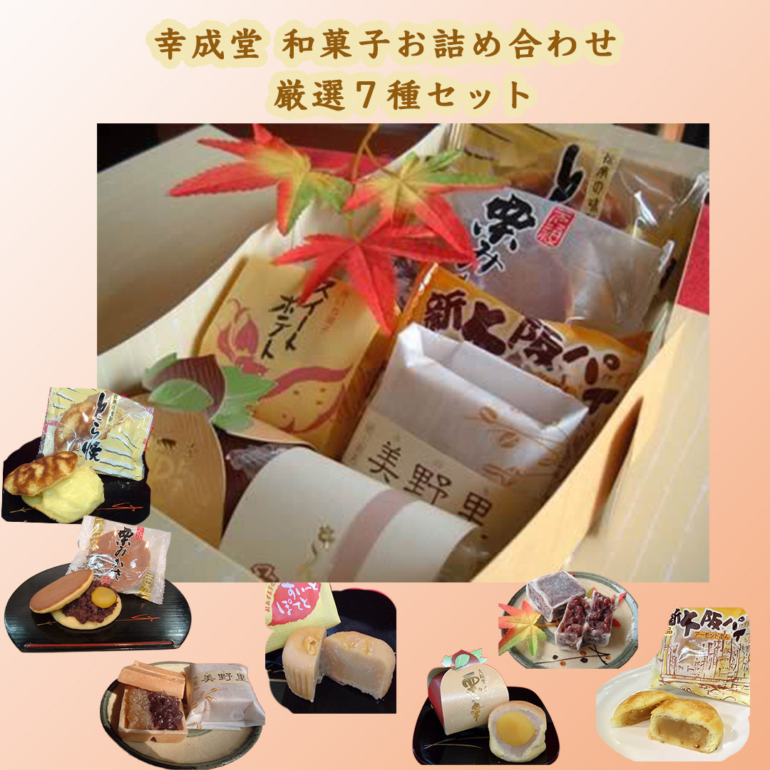 幸成堂 和菓子詰め合わせ  厳選７種セット (送料無料/北海道、沖縄1000円) 幸成堂自慢の人気商品  とら焼き 栗みかさ 新大阪パイ 二色最中美野里 きんつば スイートポテト 栗の幸 お試し ご贈答 お土産