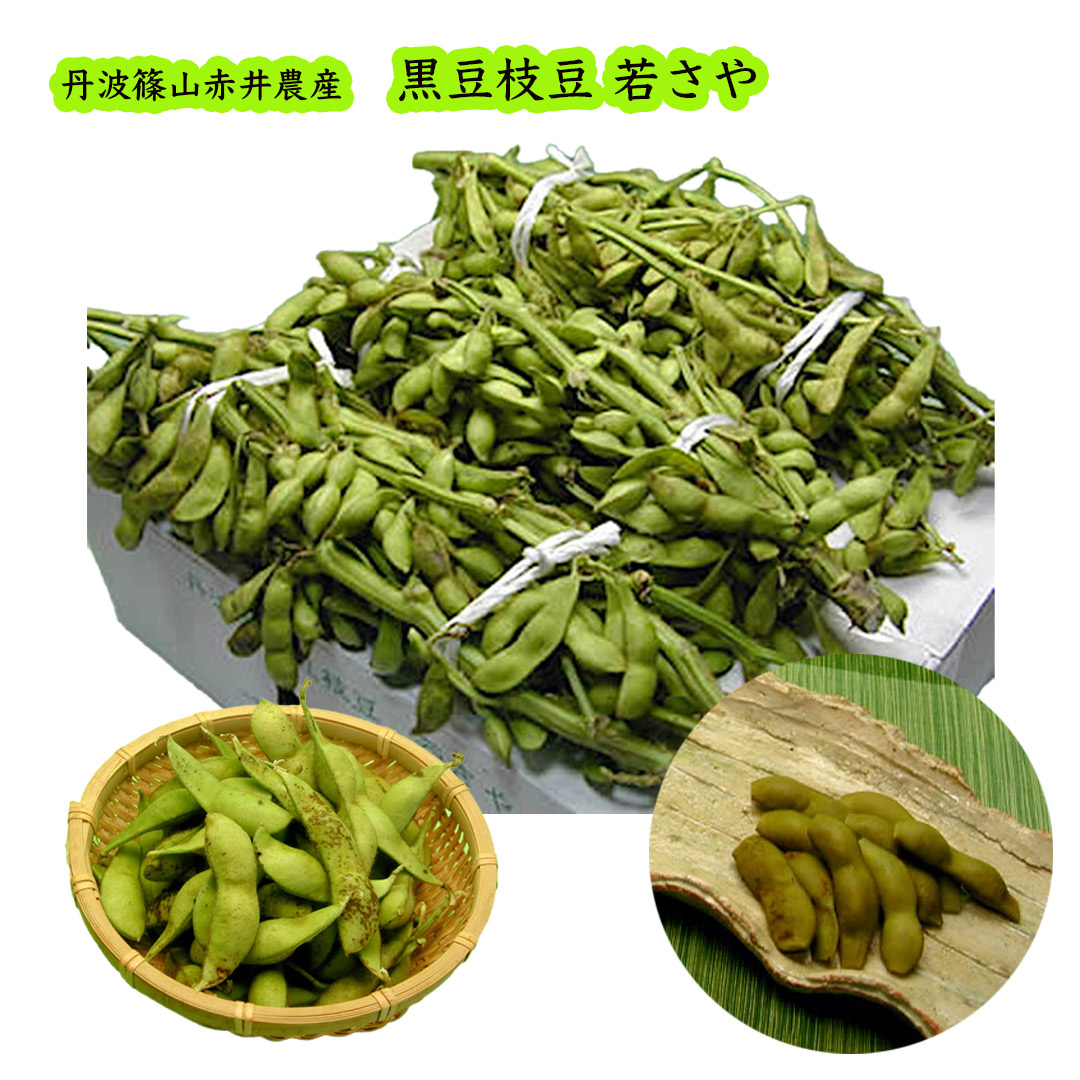 赤井さんの丹波黒大豆　枝豆　若さや