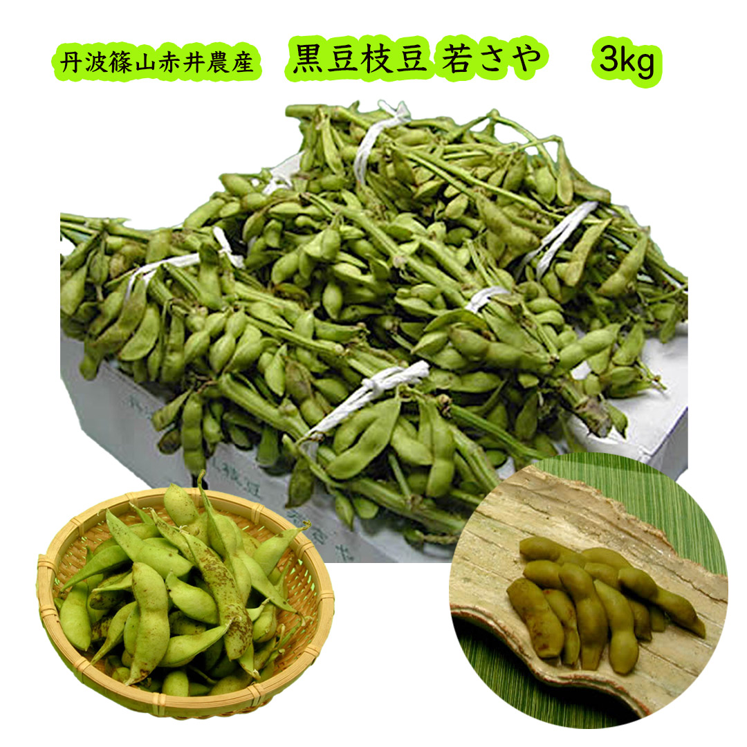赤井さんの丹波黒大豆　枝豆　若さや