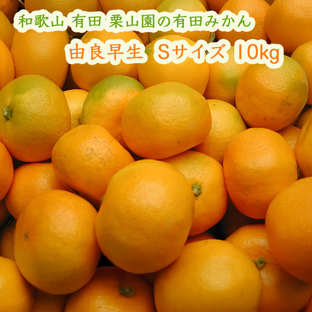 栗山園の有田みかん由良早生