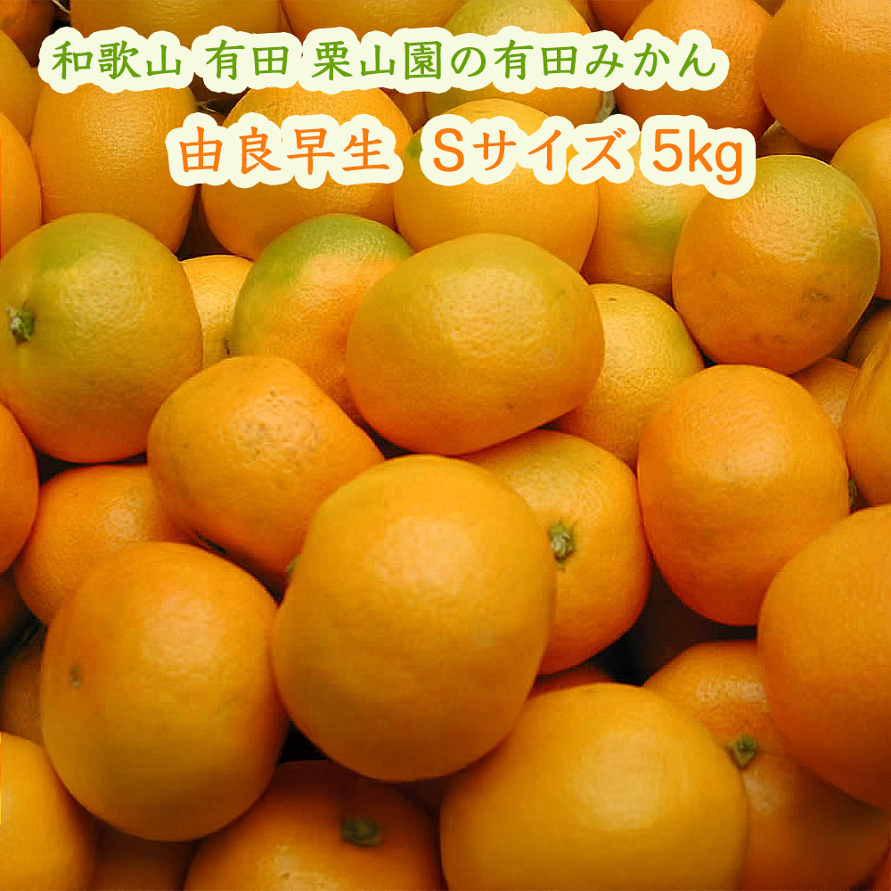 栗山園の有田みかん由良早生