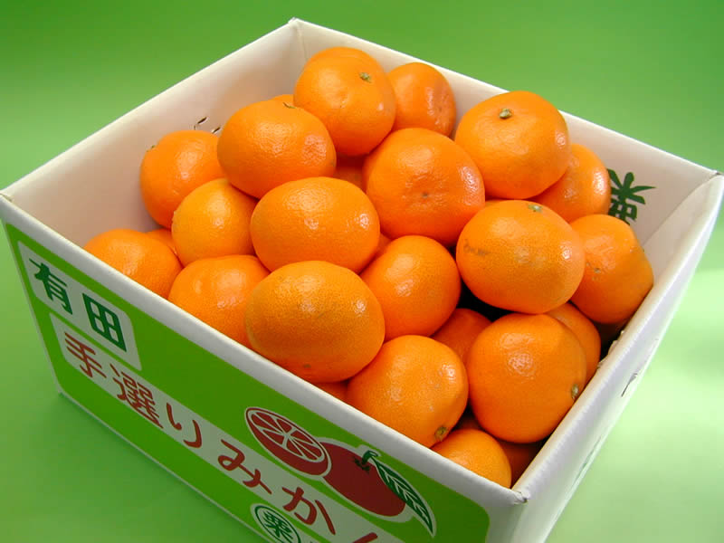 栗山園の有田みかん宮川早生